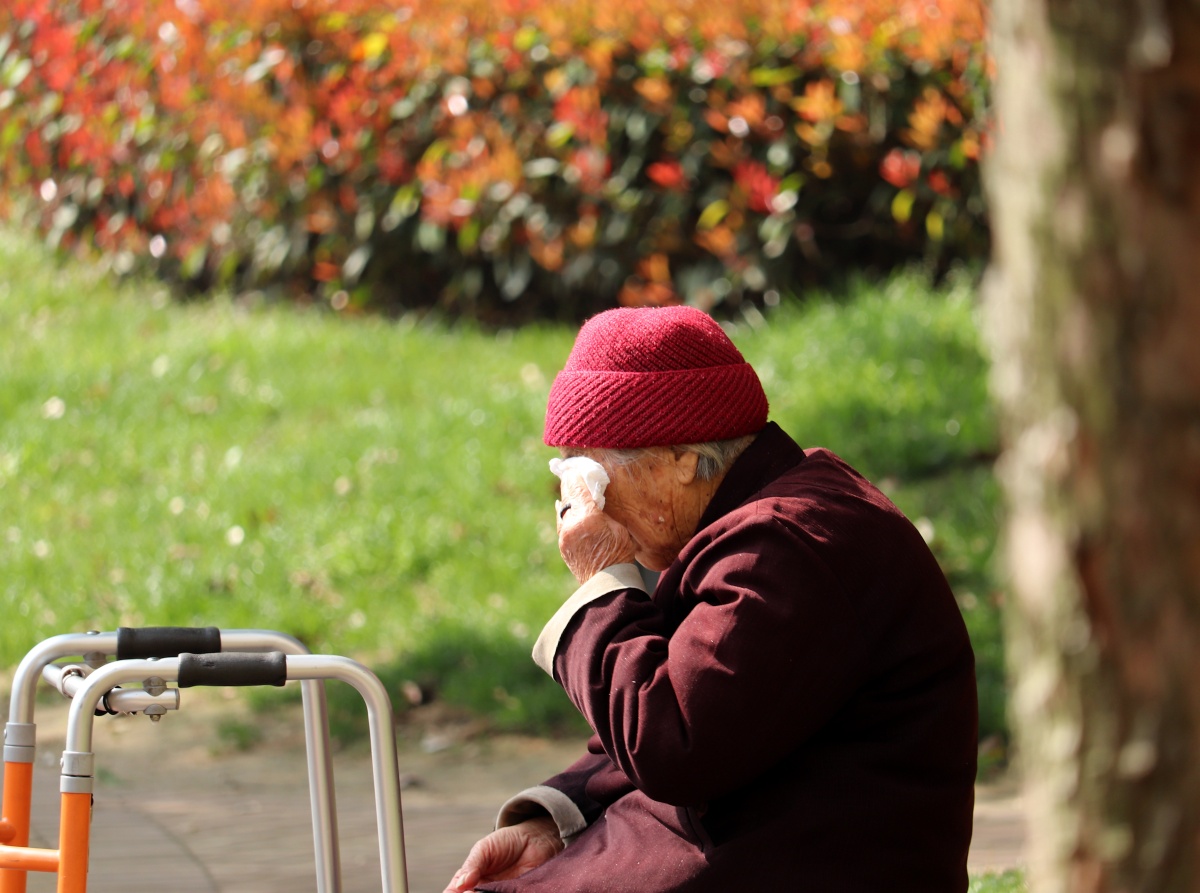 春日暖阳之休憩时光