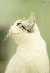 535647
