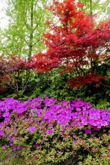 E6099829-19D9-49DB-8EF7-1E66E274EBC9/L0/001