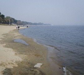 _DSC4208.jpg