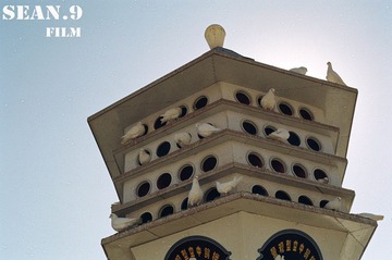 57770038副本.jpg
