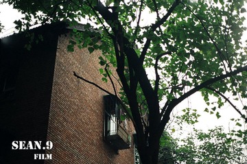 96420034副本.jpg