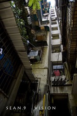 DSC_0036副本.jpg