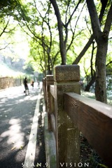 DSC_0045副本.jpg