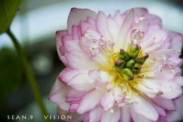 DSC_0172副本.jpg