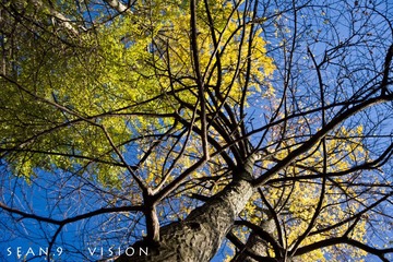 DSC_1779副本.jpg