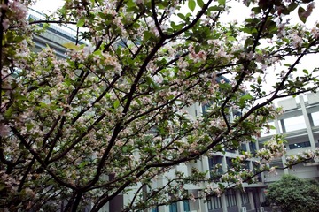 SDIM0064副本.jpg