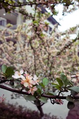 SDIM0065副本.jpg