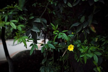 SDIM0068副本.jpg