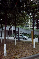 SDIM0075副本.jpg