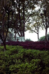 SDIM0084副本.jpg