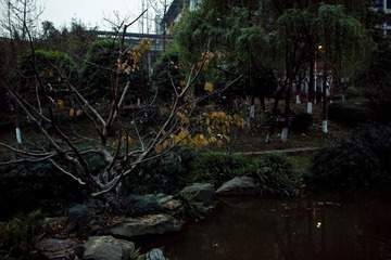 SDIM0100副本.jpg