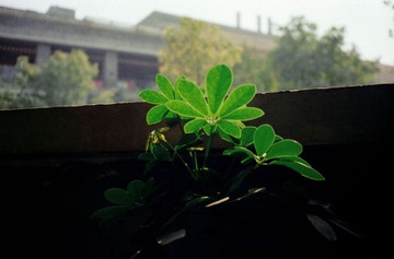 IMG-5000-34144-135