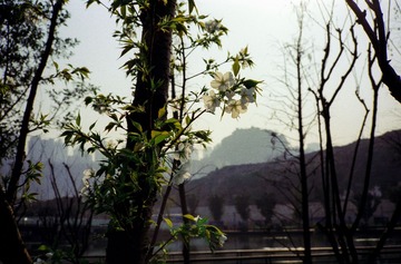 IMG-5000-34150-135