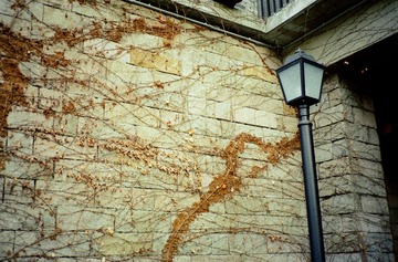 IMG-5000-34153-135