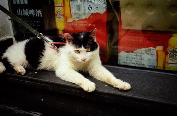 IMG-5000-34160-135