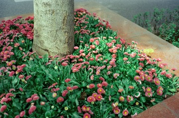 IMG-5000-34168-135