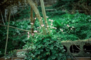 IMG-5000-34173-135