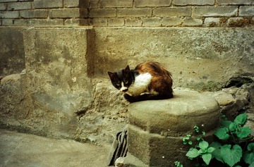 IMG-5000-34174-135