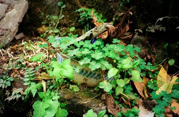 IMG-5000-34175-135