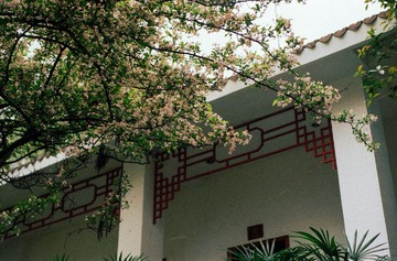 IMG-5000-34180-135