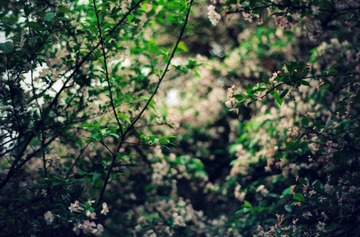 IMG-5000-34186-135