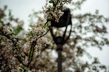 IMG-5000-34188-135