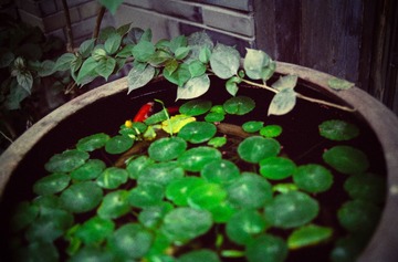 IMG-5000-34198-135