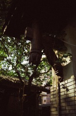 IMG-5000-34204-135
