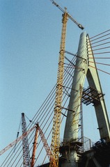IMG-5000-34207-135