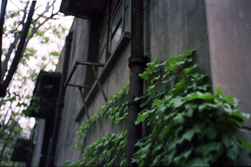 009
