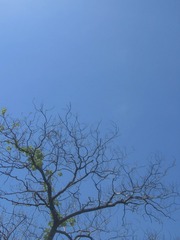 5C200342-DC16-41EA-87BA-1C2D469F7CD9/L0/001