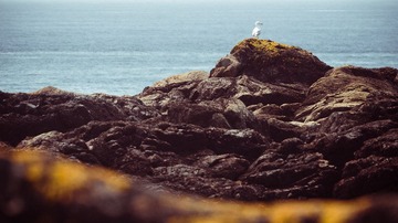 20111113-_1100493.jpg