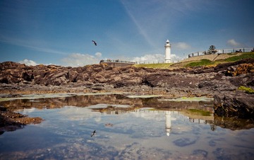 20111113-_1100505.jpg