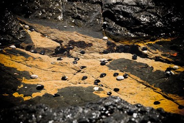 20111113-_1100531.jpg