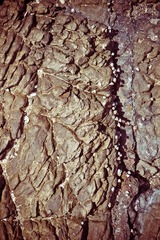 20111113-_1100534.jpg
