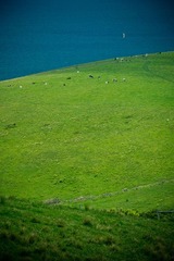 20111113-_1100642.jpg