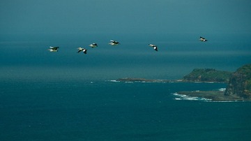20111113-_1100652.jpg