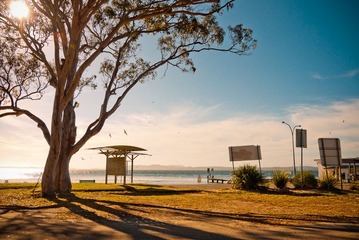 20111105-_1260303.jpg