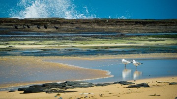 20111203-_1110422.jpg