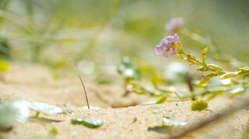 20111203-_1110448.jpg