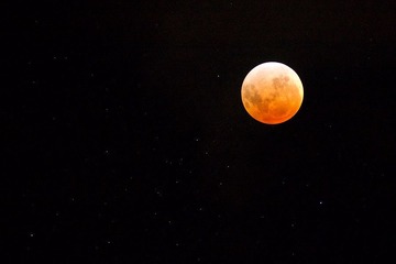 20111211-_1110964.jpg