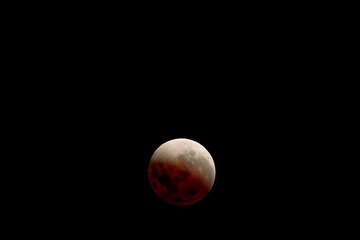 20111211-_1120382.jpg