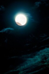 20111211-_1120386.jpg