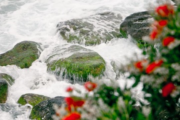 20111218-_1130318.jpg