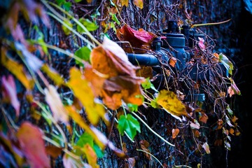 20120610-_1150704.jpg
