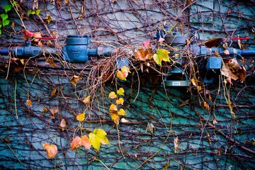 20120610-_1150705.jpg