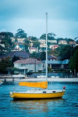 20120520-_1150442.jpg