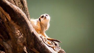 20140925-_MG_4457