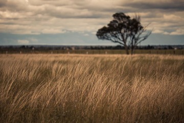 20140925-_MG_4886